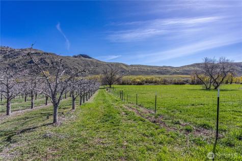 1096 Highway 7 Tonasket WA 98855