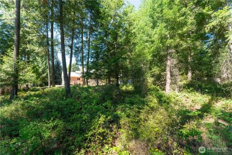 504 Quail Loop Newport WA 99156