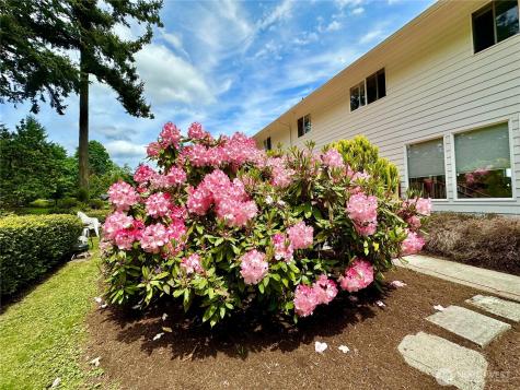 230 Rocky Mountain High Road Camano Island WA 98282