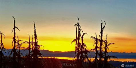 230 Rocky Mountain High Road Camano Island WA 98282