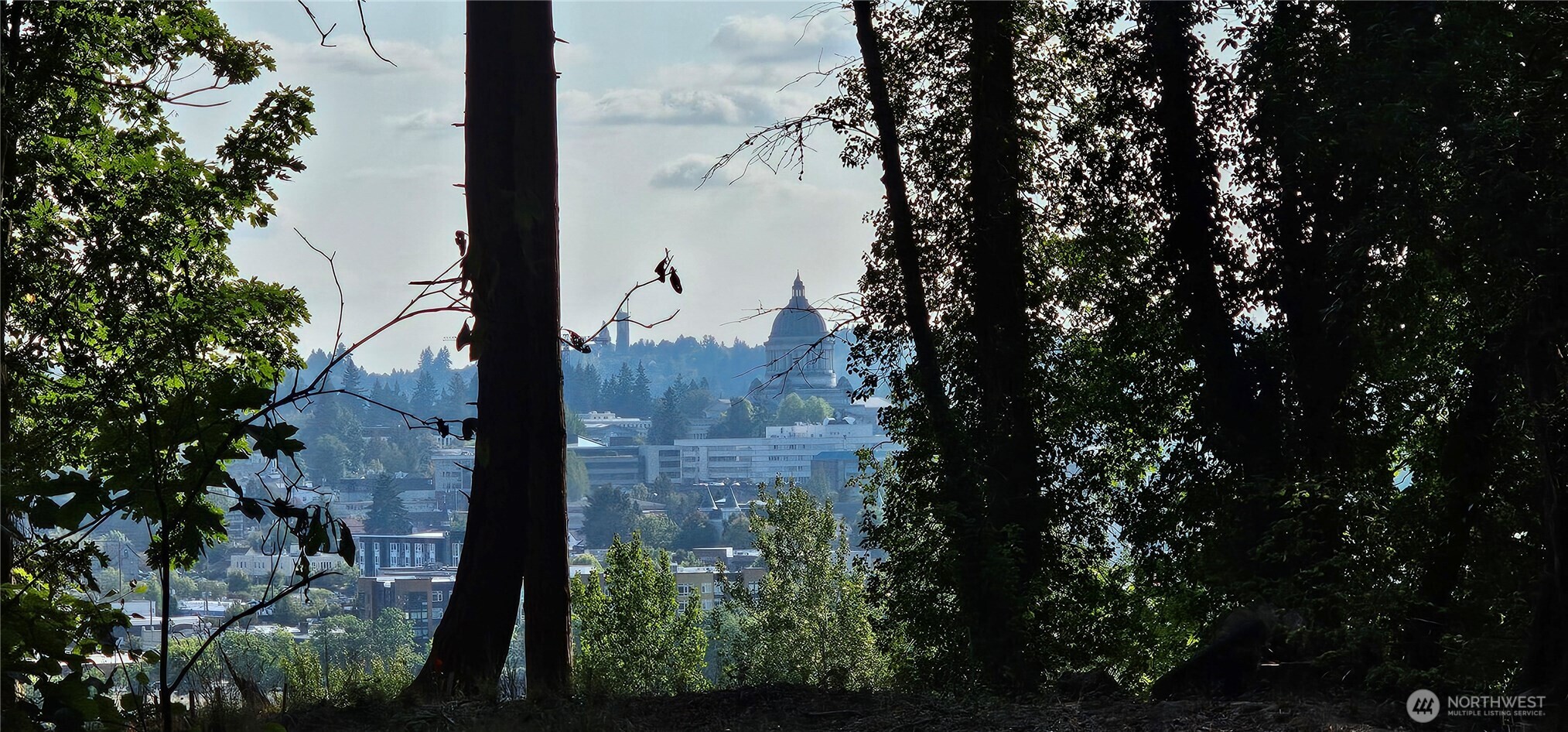 1124 Pear Street NE Olympia WA 98506