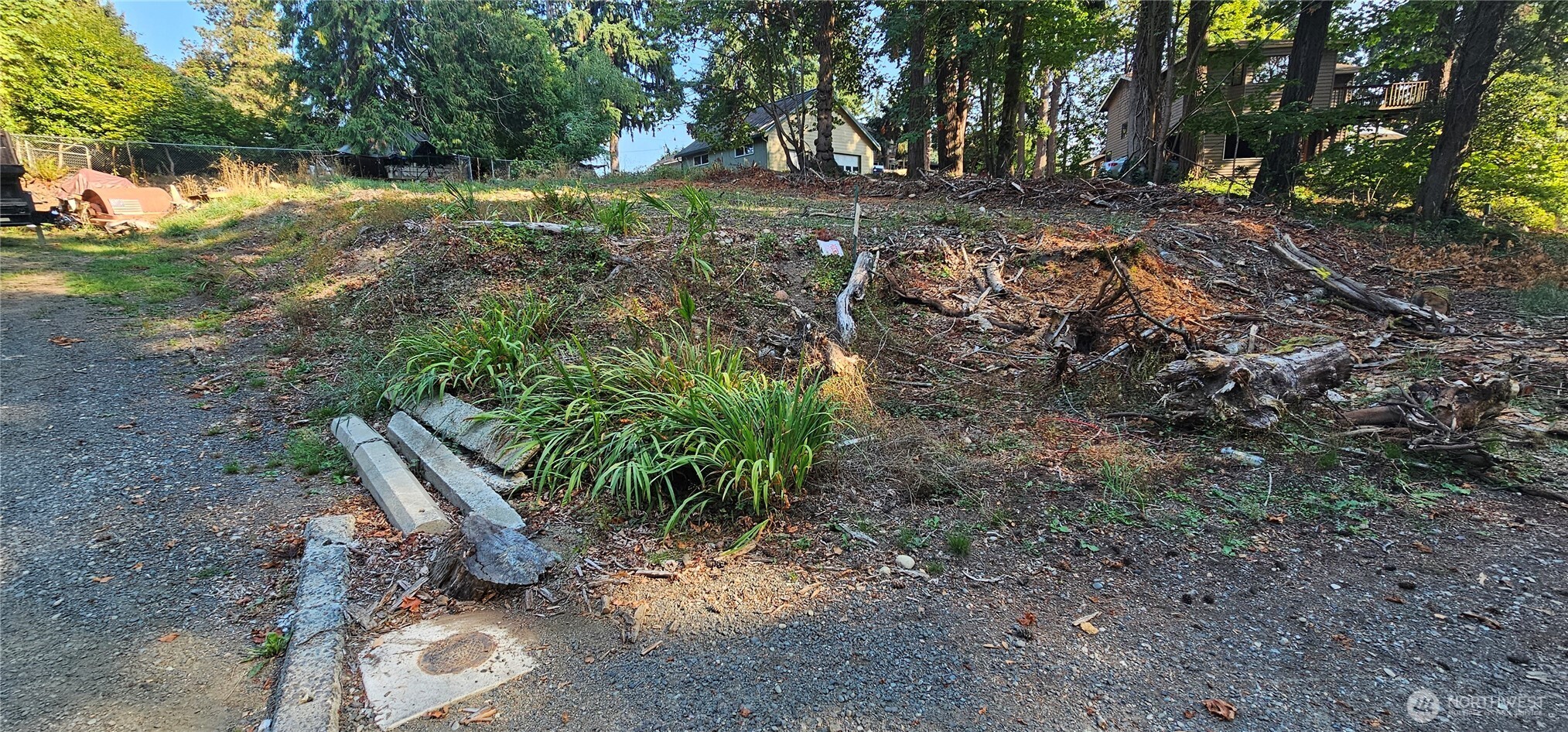 1124 Pear Street NE Olympia WA 98506