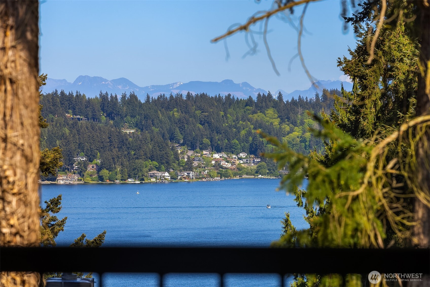 3216 168th Place SE Bellevue WA 98008