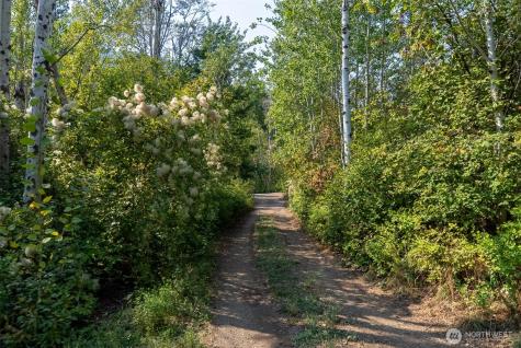 96 Alder Creek Road Twisp WA 98856