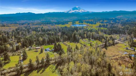 26127 134th Avenue E Graham WA 98338