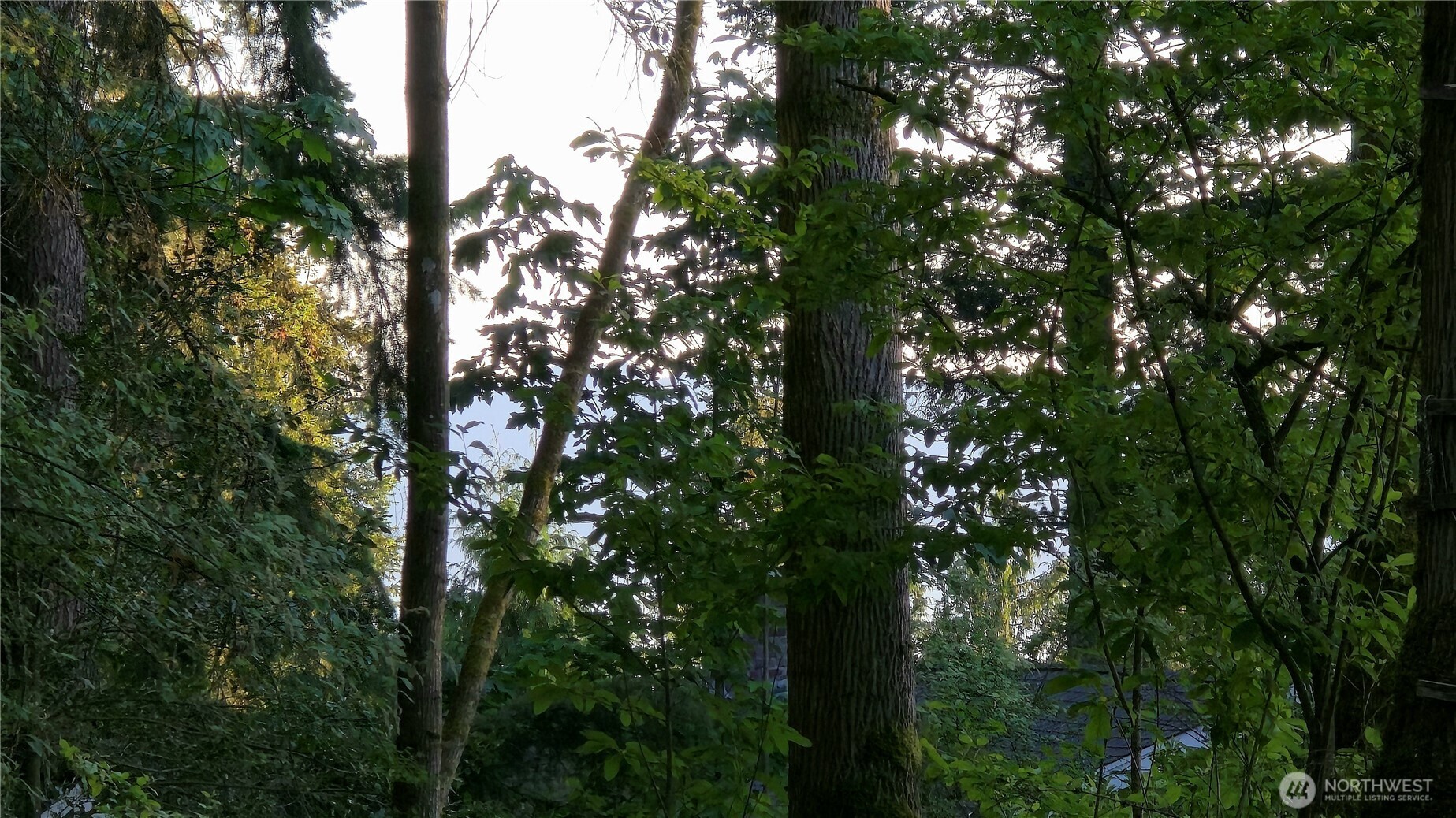 4156 Agate Road Bellingham WA 98226
