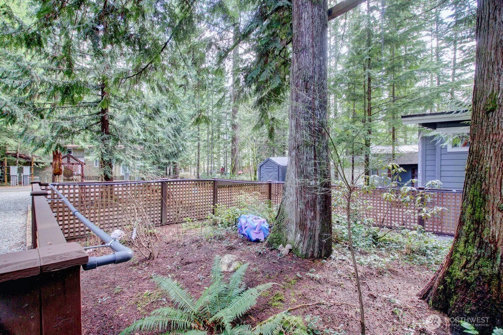 10 Riverside Drive Deming WA 98244