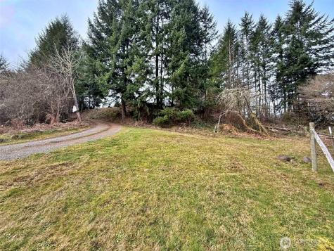 384 Peters Road Randle WA 98377