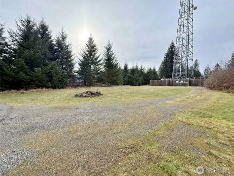 384 Peters Road Randle WA 98377
