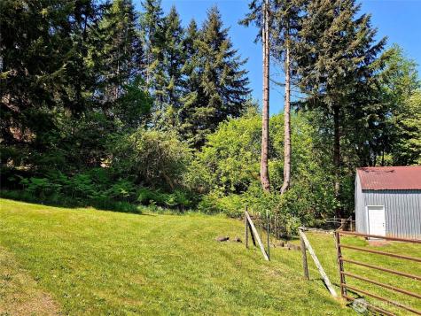384 Peters Road Randle WA 98377