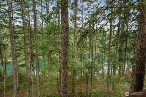 17631 Clear Lake Boulevard SE Yelm WA 98597