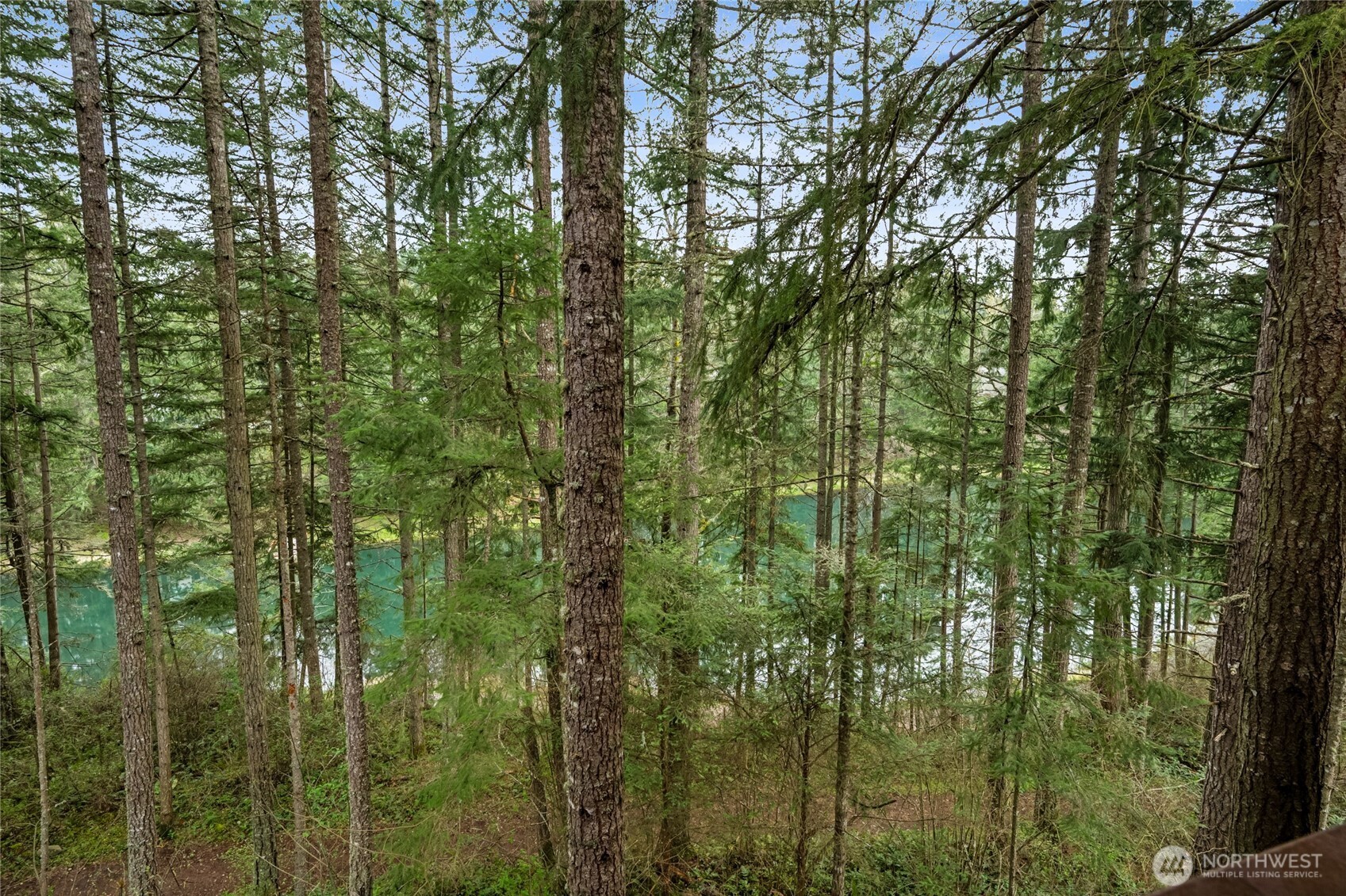 17631 Clear Lake Boulevard SE Yelm WA 98597