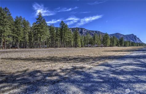 26 Mercer Road Mazama WA 98833