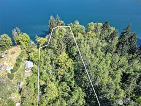 2070 W Cushman Ridge Drive Hoodsport WA 98548
