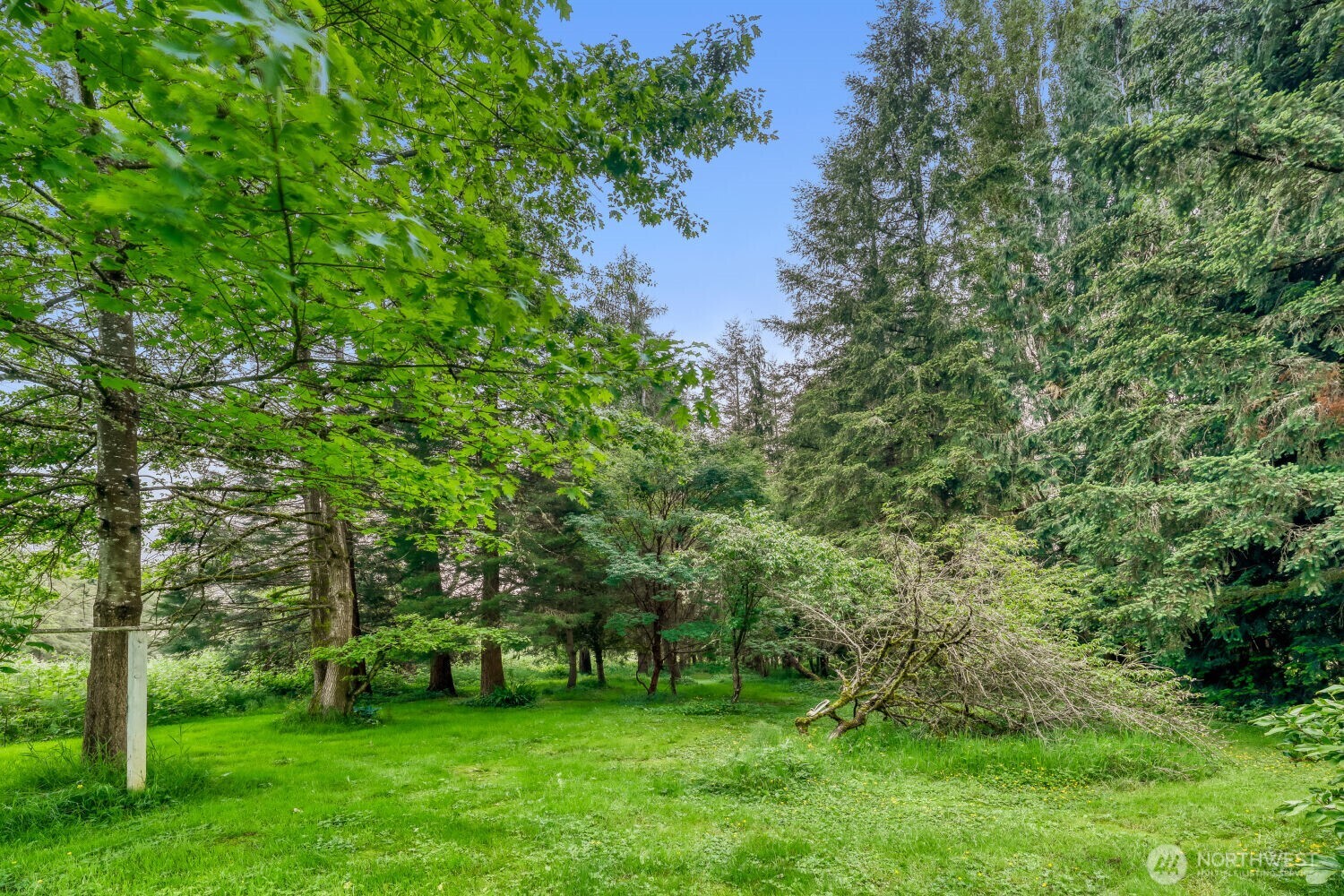 5703 318th Avenue NE Carnation WA 98014