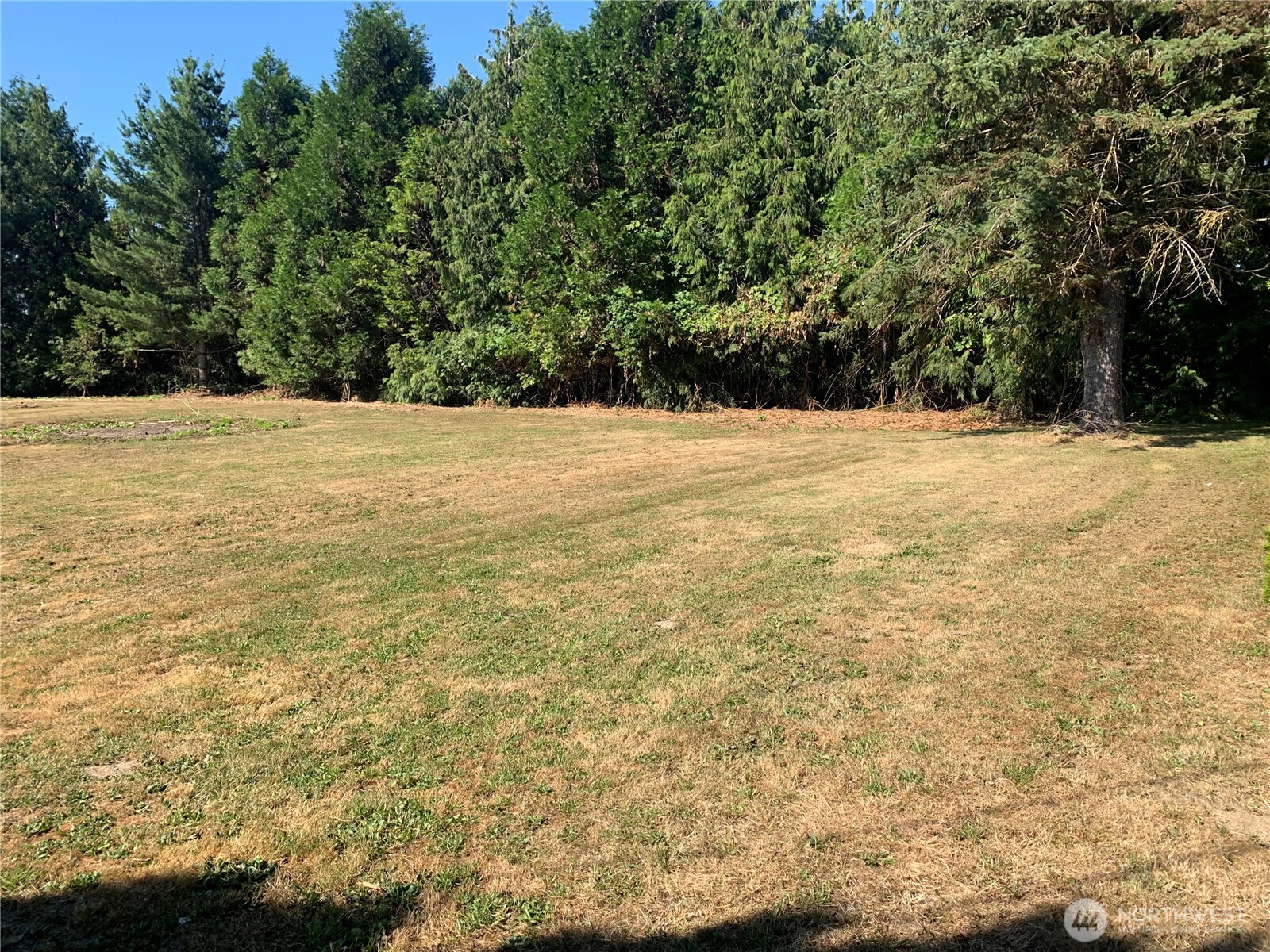 3037 Massey Road Everson WA 98247
