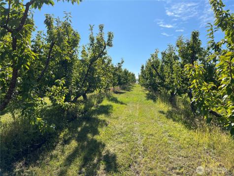 4477 NW Cascade Avenue East Wenatchee WA 98802