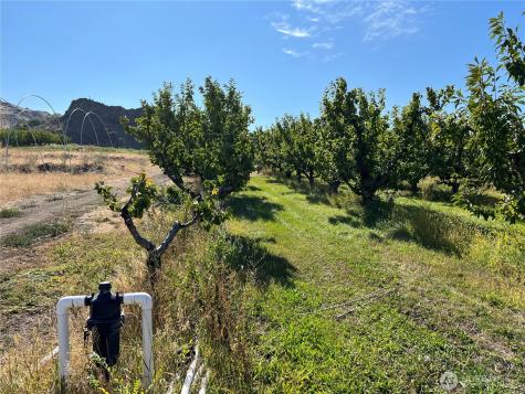 4477 NW Cascade Avenue East Wenatchee WA 98802