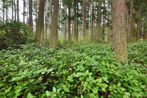 2712 North Bluff Road Greenbank WA 98253