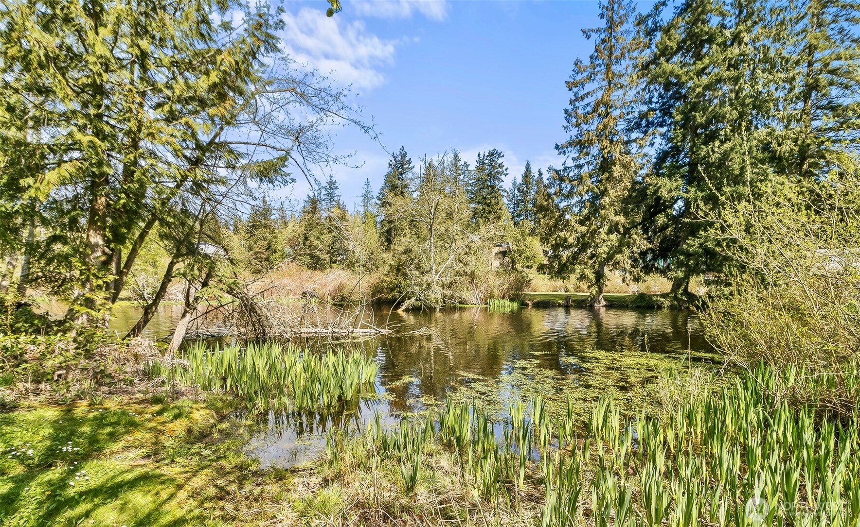 1579 Silver Fir Drive Camano Island WA 98282