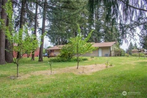 9844 173rd Avenue SW Rochester WA 98579