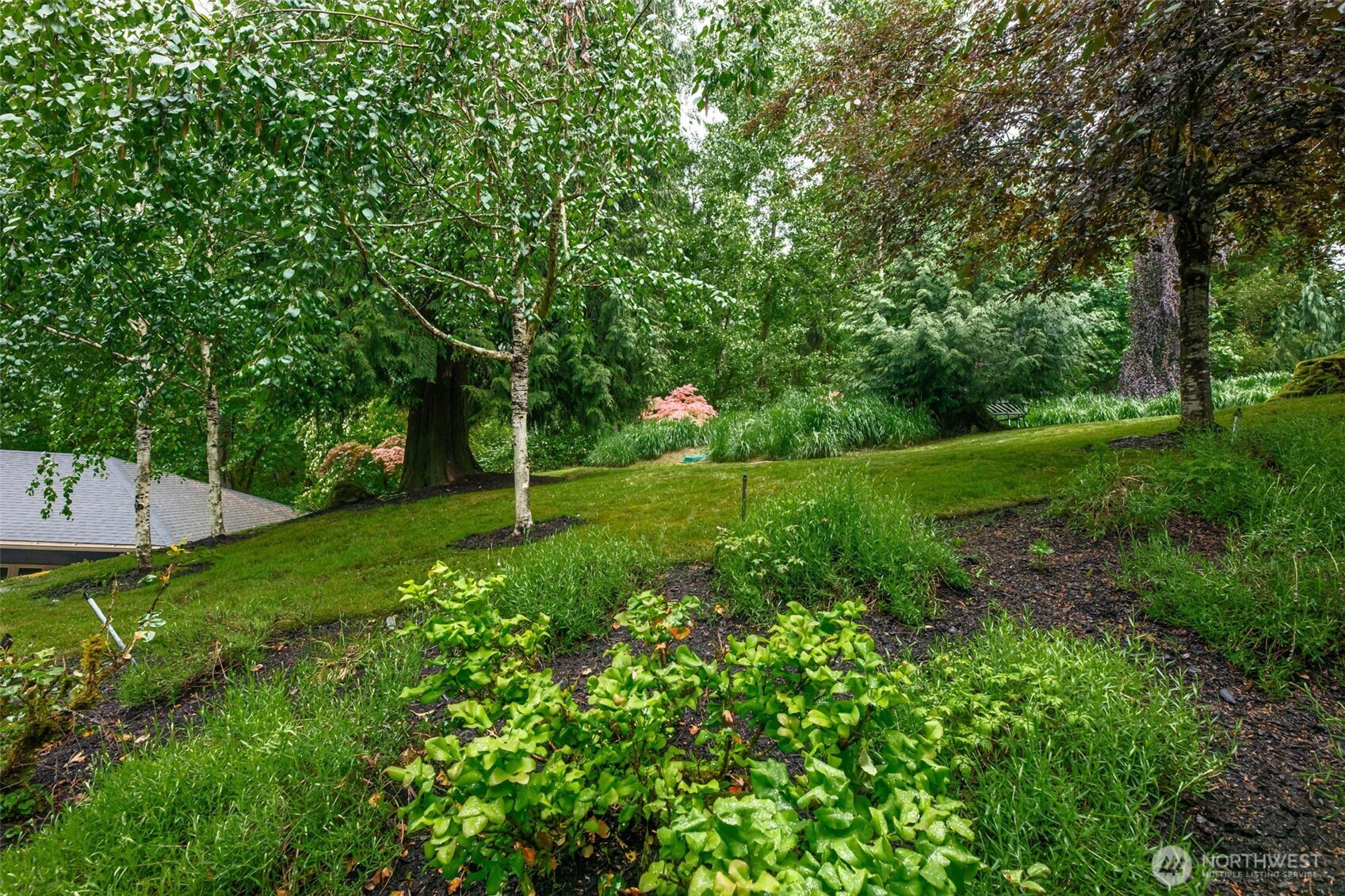 18603 E Spring Lake Drive SE Renton WA 98058