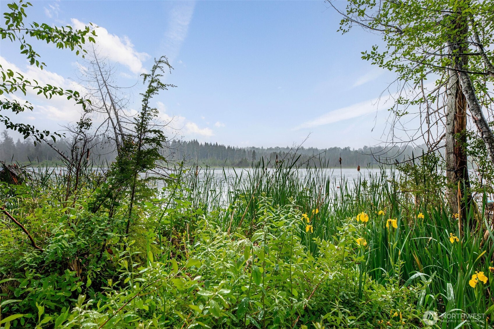 18603 E Spring Lake Drive SE Renton WA 98058