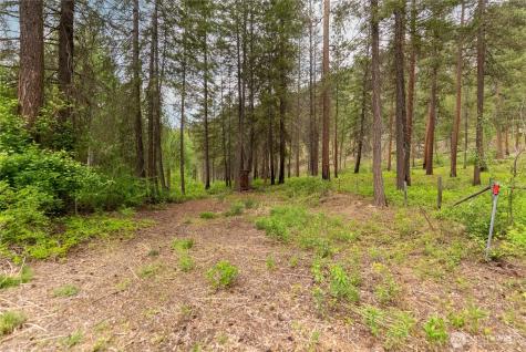69 Fs 5010 Rd - Chewuch Winthrop WA 98862