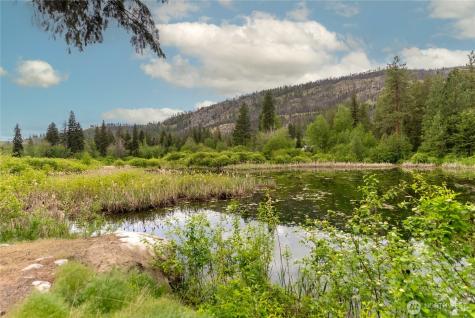 69 Fs 5010 Rd - Chewuch Winthrop WA 98862