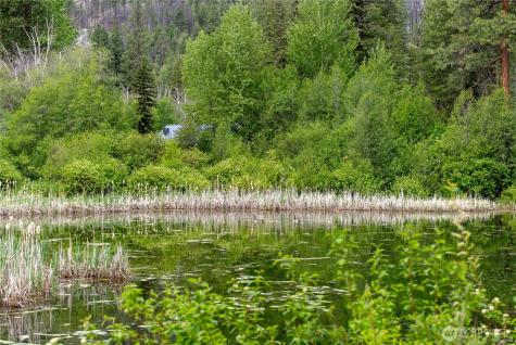 69 Fs 5010 Rd - Chewuch Winthrop WA 98862