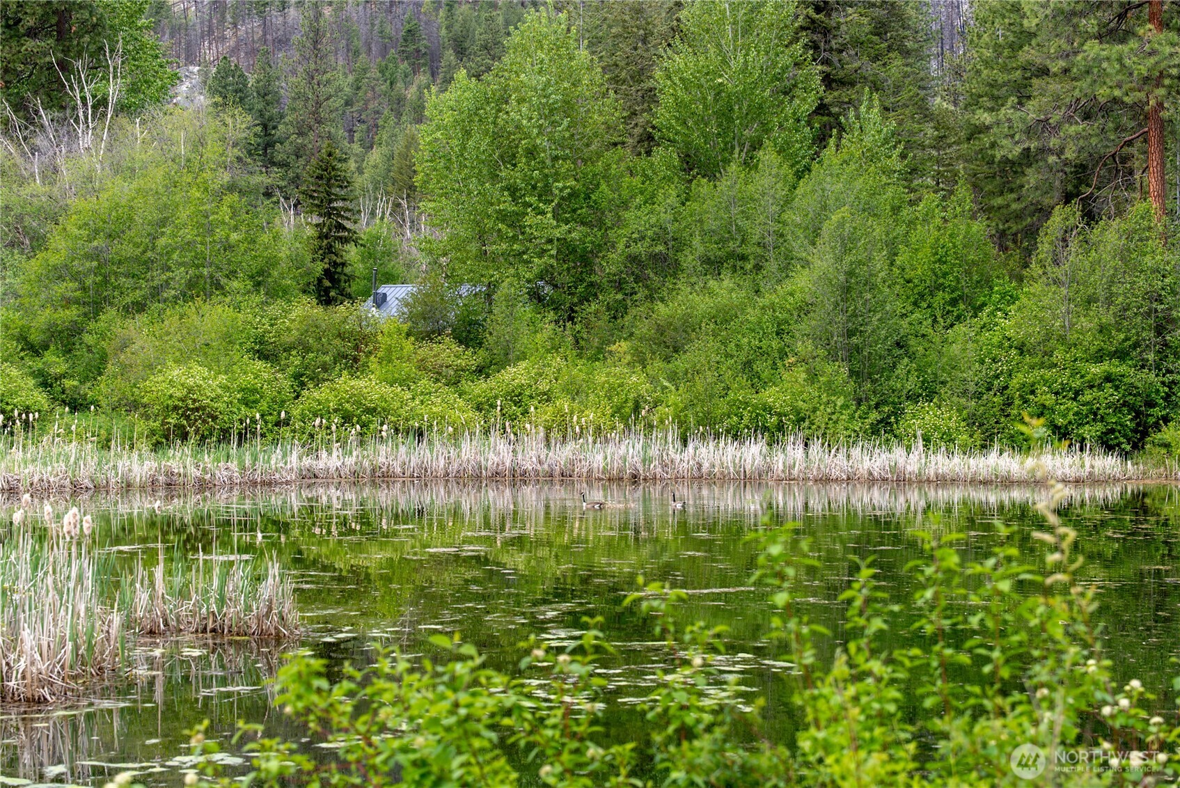 69 Fs 5010 Rd - Chewuch Winthrop WA 98862