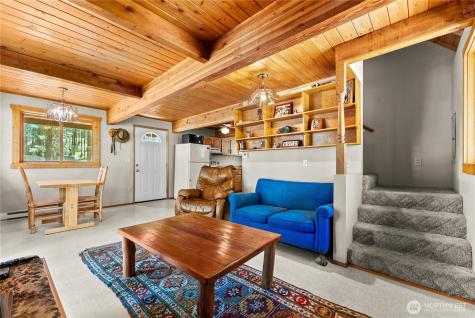 93 Larkspur Drive Winthrop WA 98862