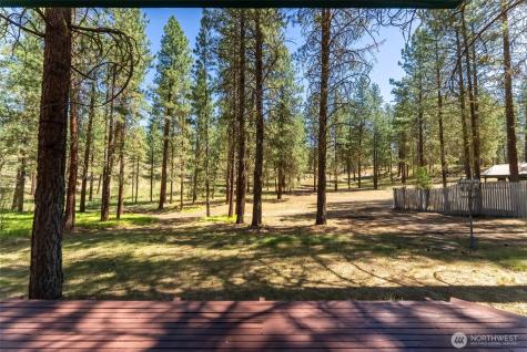 93 Larkspur Drive Winthrop WA 98862