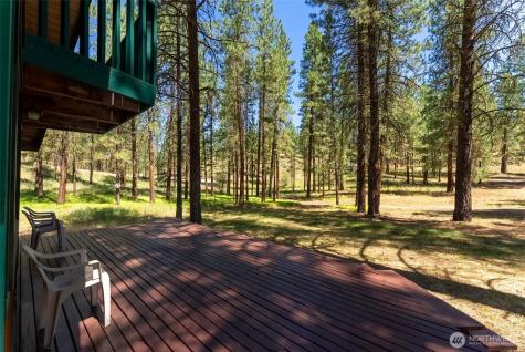 93 Larkspur Drive Winthrop WA 98862