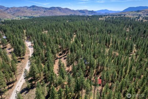 93 Larkspur Drive Winthrop WA 98862