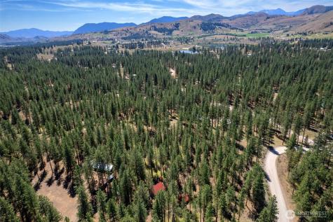 93 Larkspur Drive Winthrop WA 98862