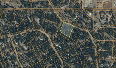 93 Larkspur Drive Winthrop WA 98862