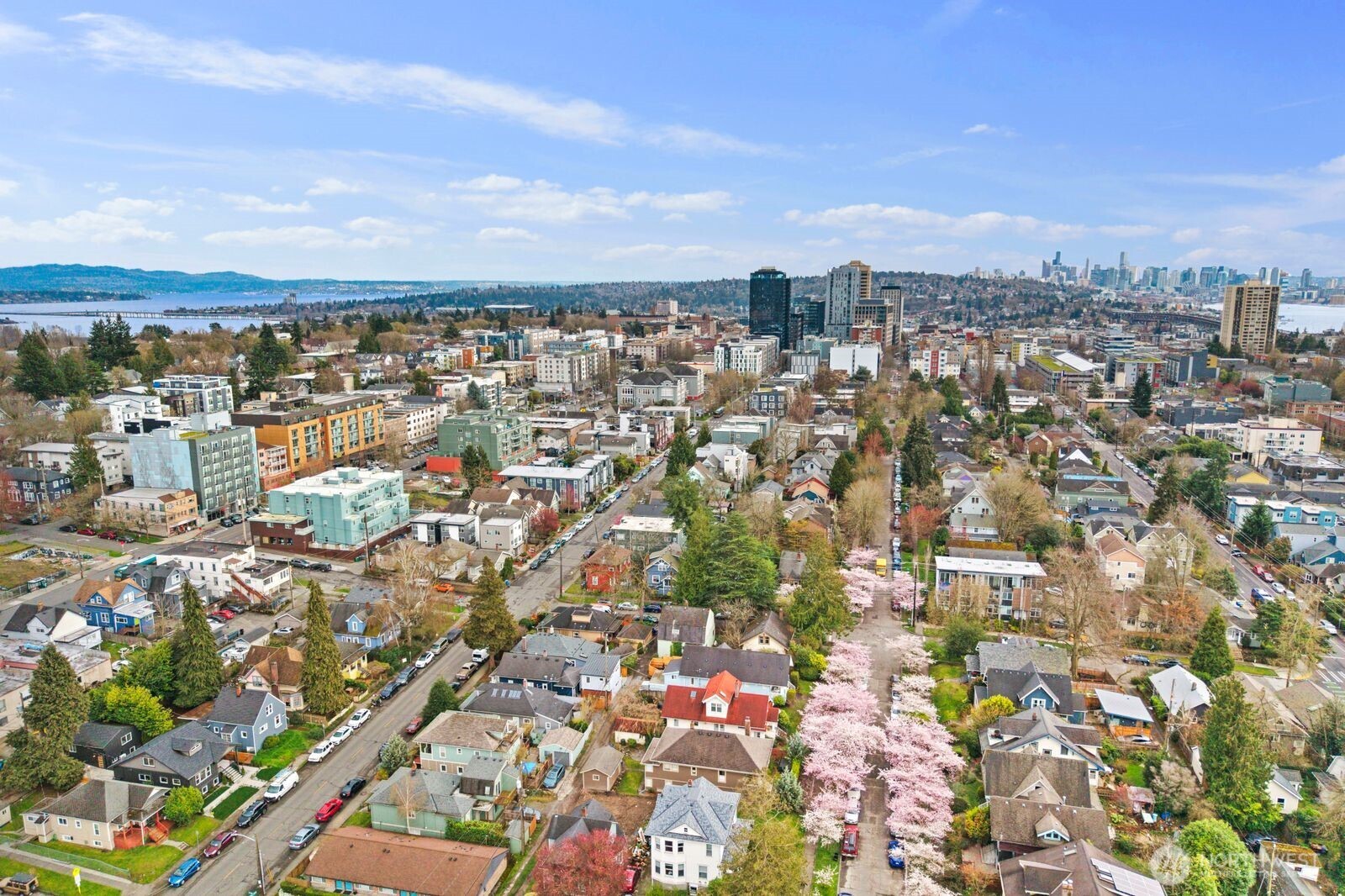 5520 Brooklyn Avenue NE Seattle WA 98105