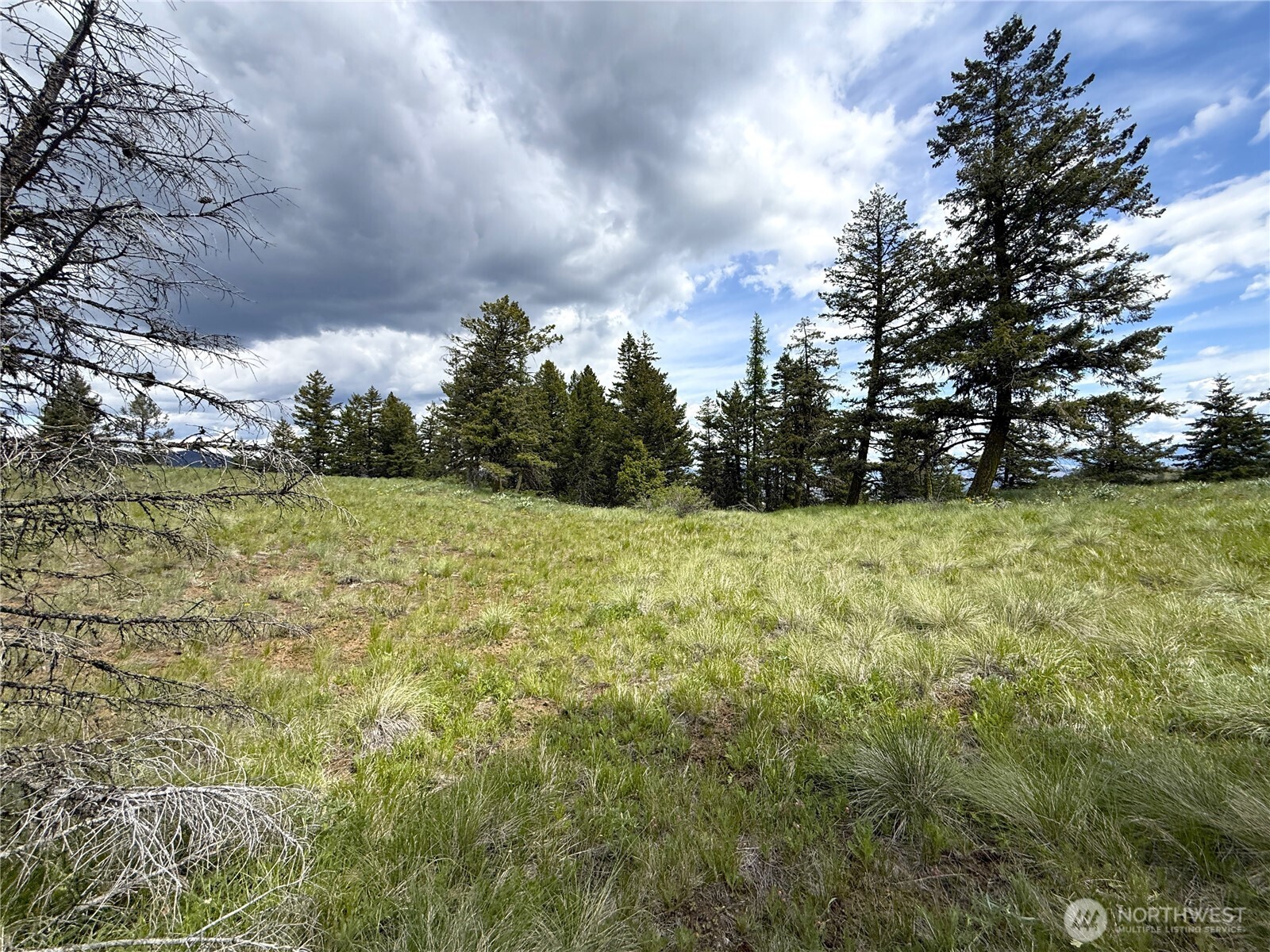 19 Union Ridge Spur Road Republic WA 99166