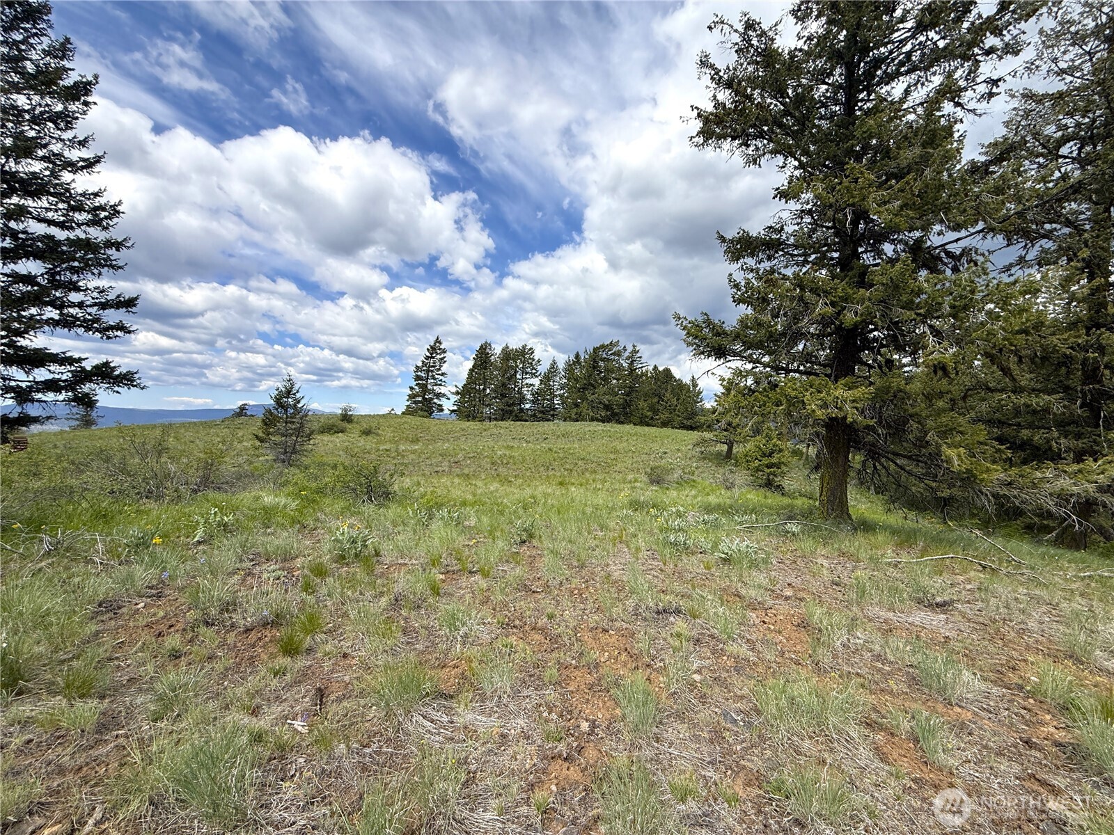 19 Union Ridge Spur Road Republic WA 99166