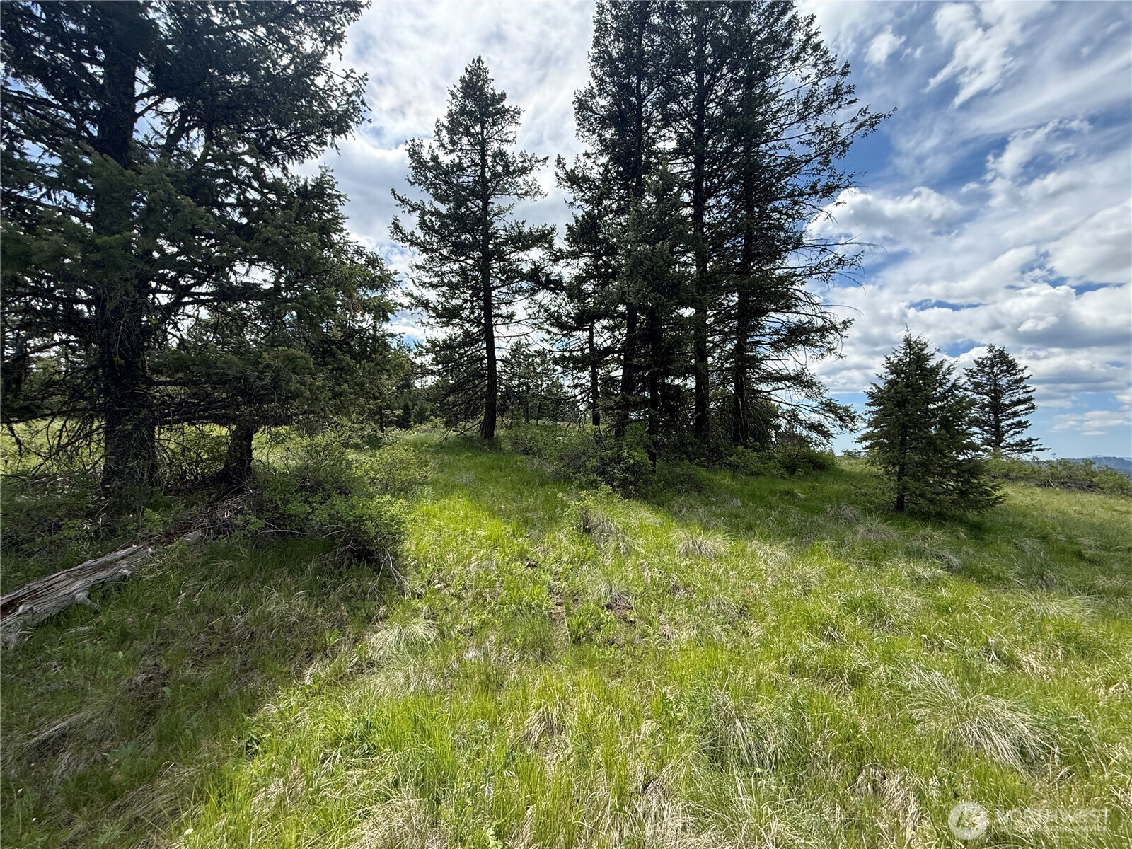 19 Union Ridge Spur Road Republic WA 99166