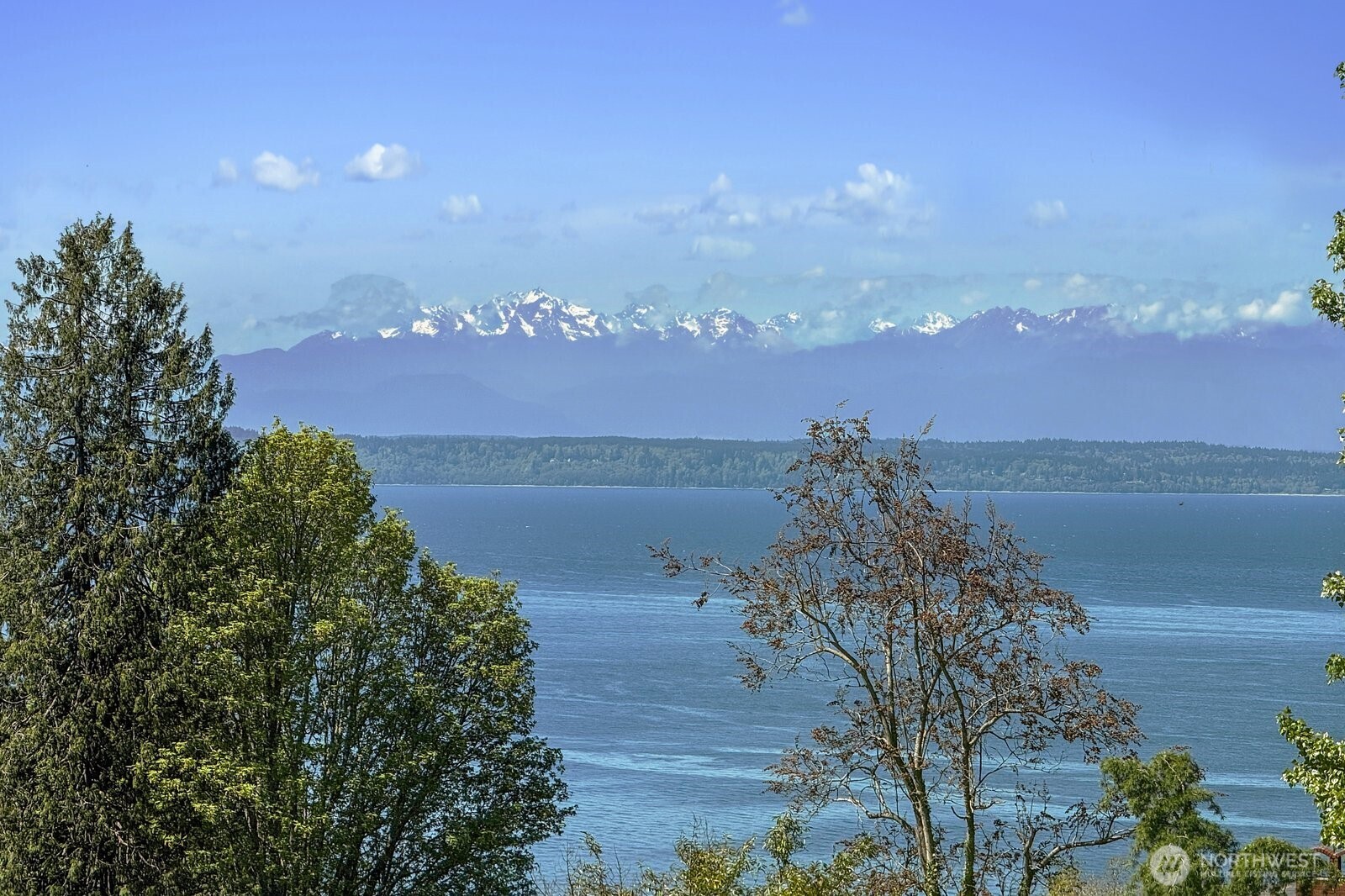 16209 70th Place W Edmonds WA 98026