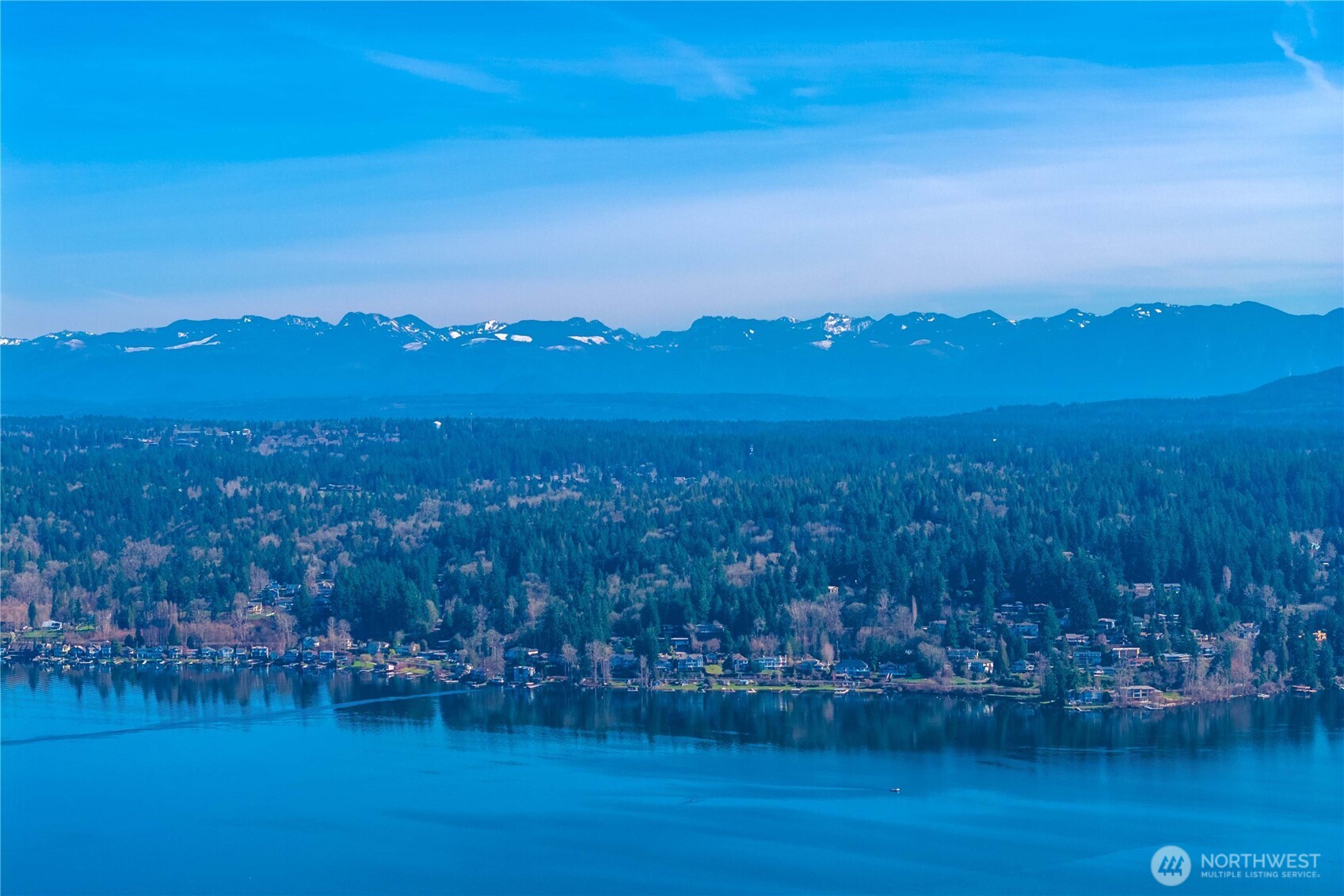 17003 SE 14th Lane Bellevue WA 98008