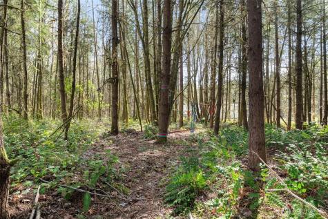 14229 Rainier View Drive SE Yelm WA 98597