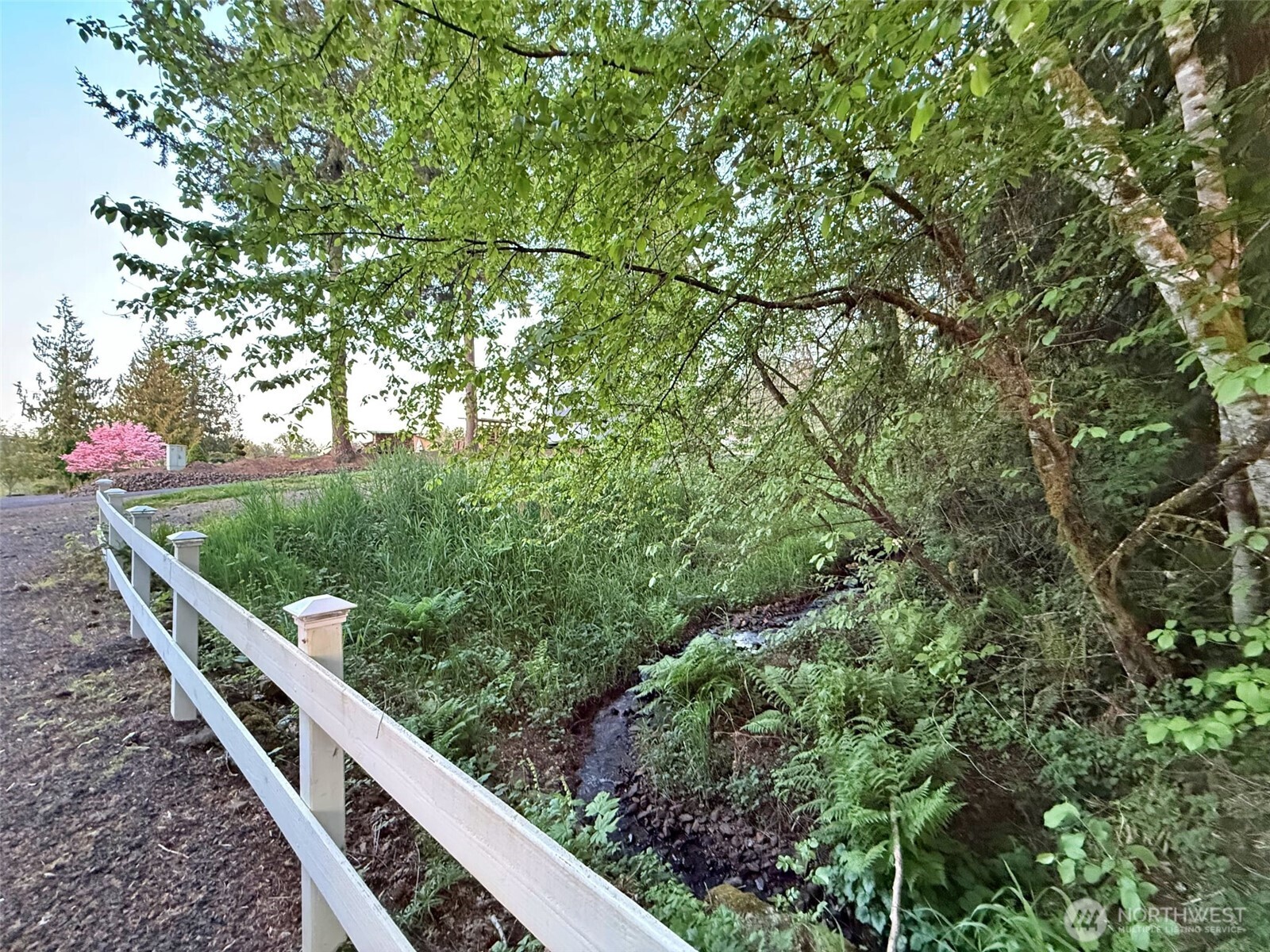 103 Lakeside Drive Mossyrock WA 98564