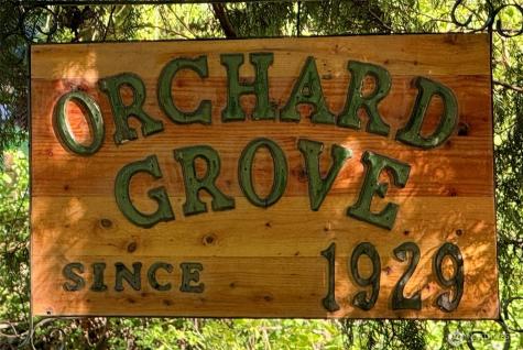 23933 SE 238th Street Maple Valley WA 98038