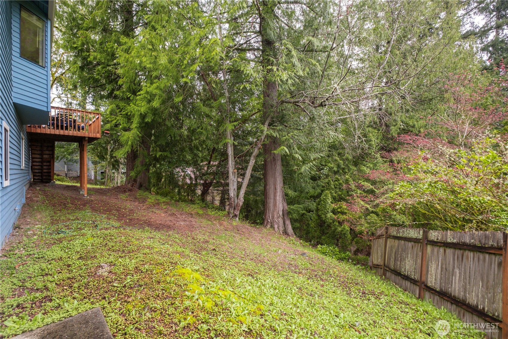 22456 NE 18th Street Sammamish WA 98074
