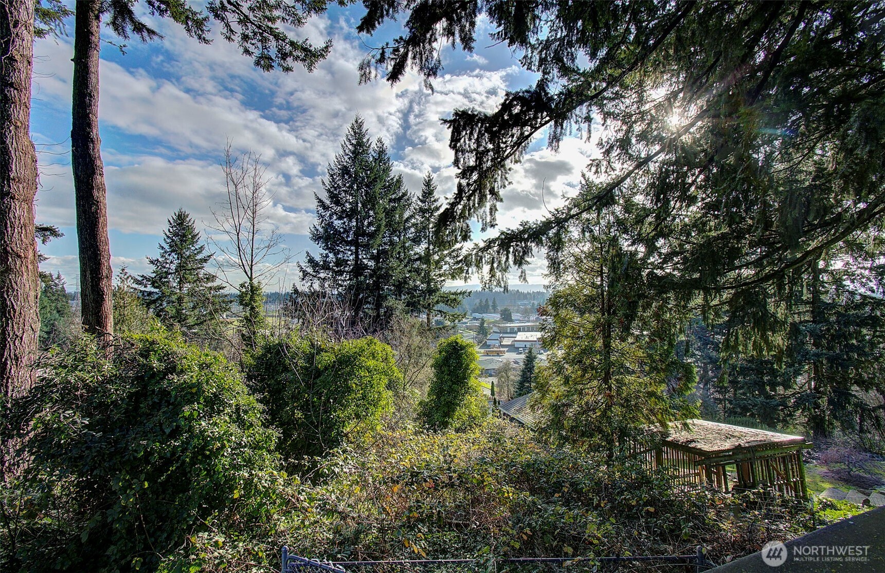 1101 NE 64th Vancouver WA 98665