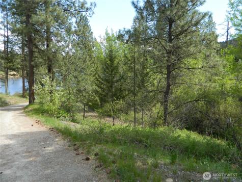 46 Little Bear Lane Tonasket WA 98855
