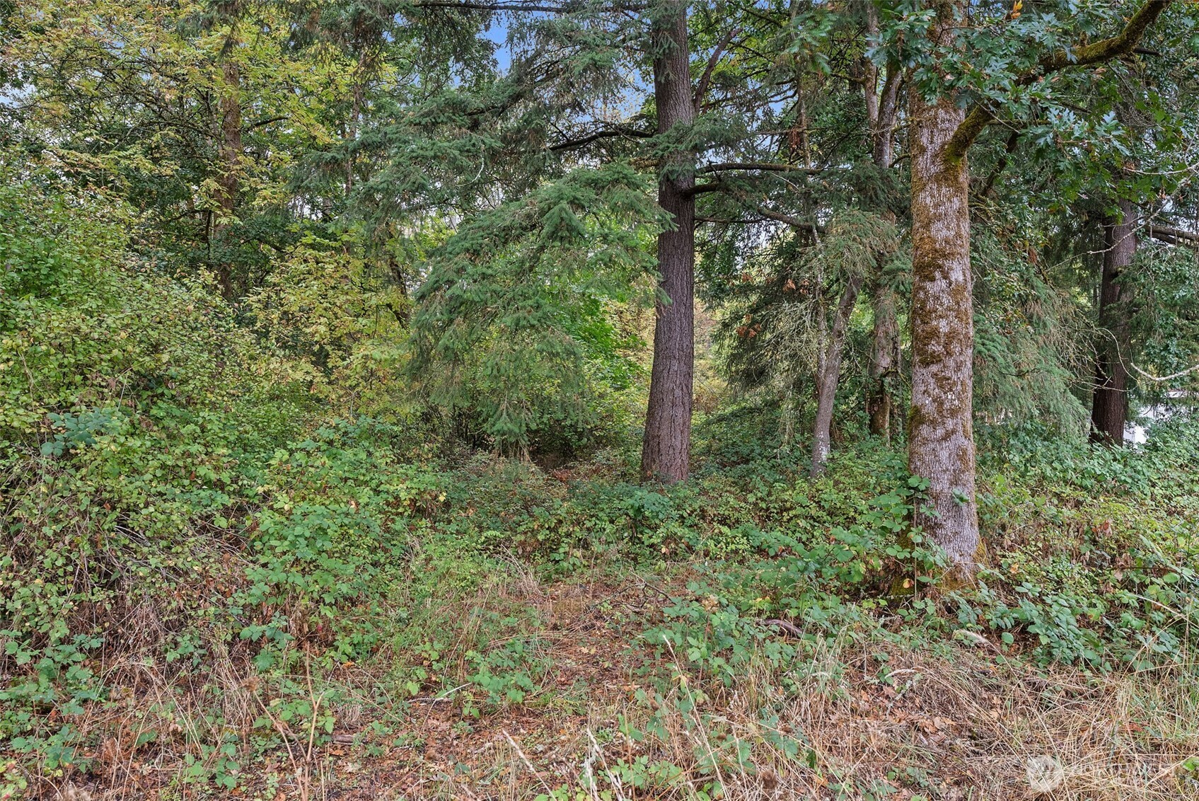 6511 203rd Avenue SW Centralia WA 98531